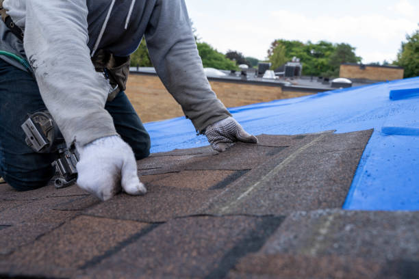 Best Metal Roofing Contractor  in Bayshe, OR